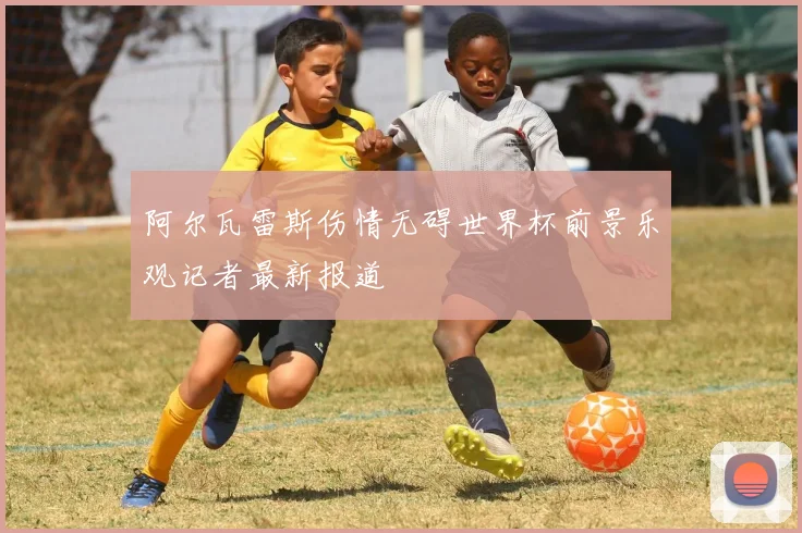 阿尔瓦雷斯伤情无碍世界杯前景乐观记者最新报道